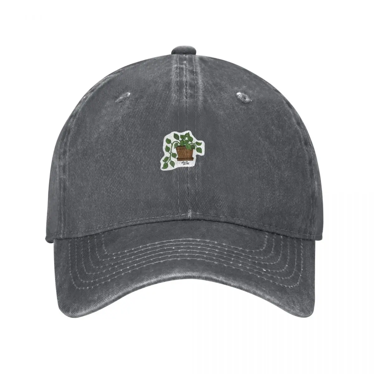 Plant Parent Pothos Baseball C - Plant Parental recensione e prezzo